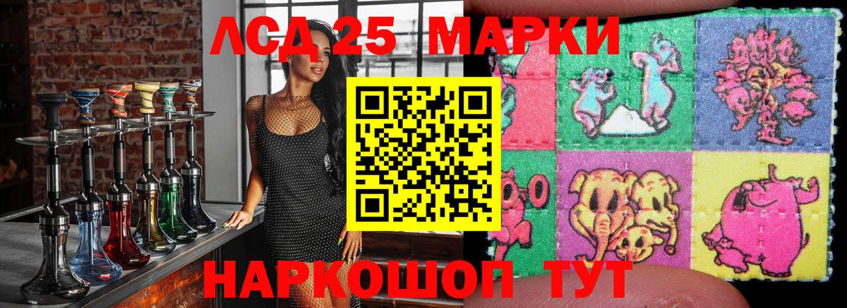 Наркотические марки 1500мкг  Наркотические марки 1500мкг  Вход с VPN  Новозыбков 