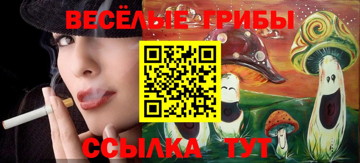 Псилоцибиновые грибы Psilocybine cubensis  Вход с VPN  Галлюциногенные грибы Psilocybine cubensis  Новозыбков 