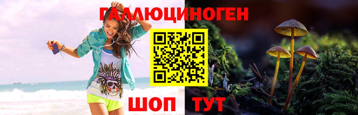 Галлюциногенные грибы Psilocybine cubensis Новозыбков