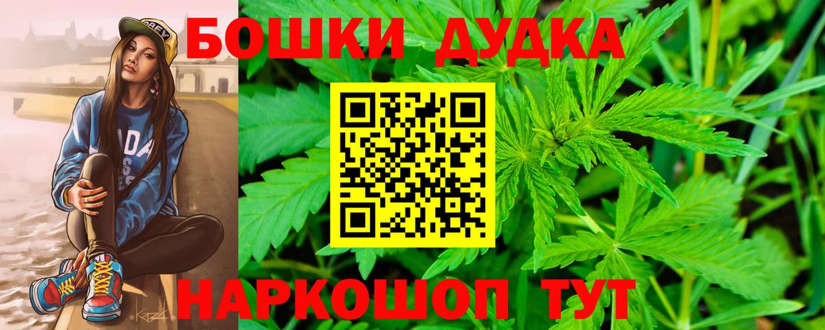 Конопля планчик Новозыбков